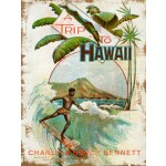 A Trip To Hawaii
