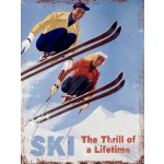 Ski The Thrill of a Lifetime